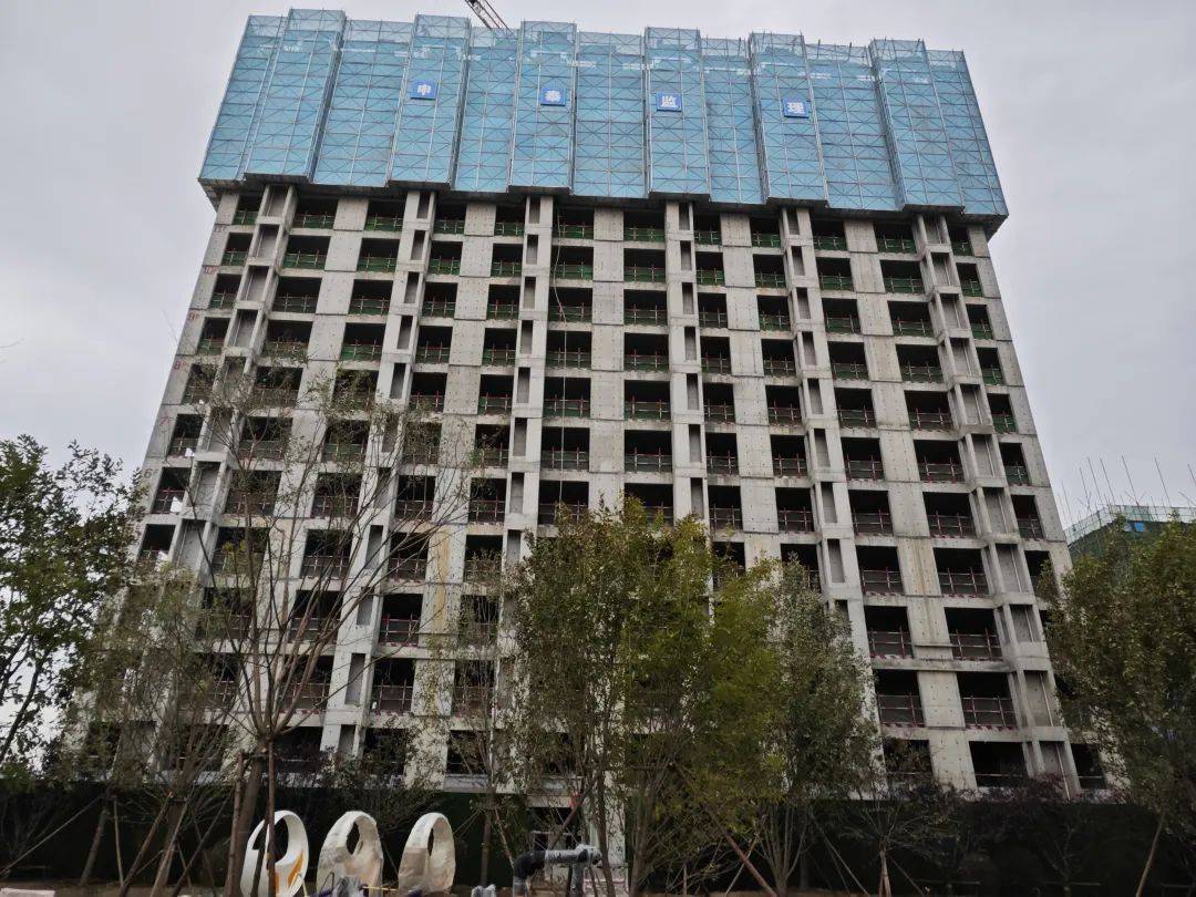 园林景观多米体育示范区开放 丨实景美宅看得见的生态社区！(图6)