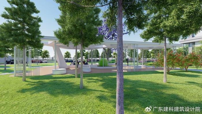多米体育工业生态园区常用的绿化树种(图1)