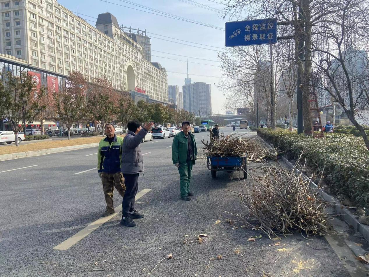 多米体育映象政务(图2)