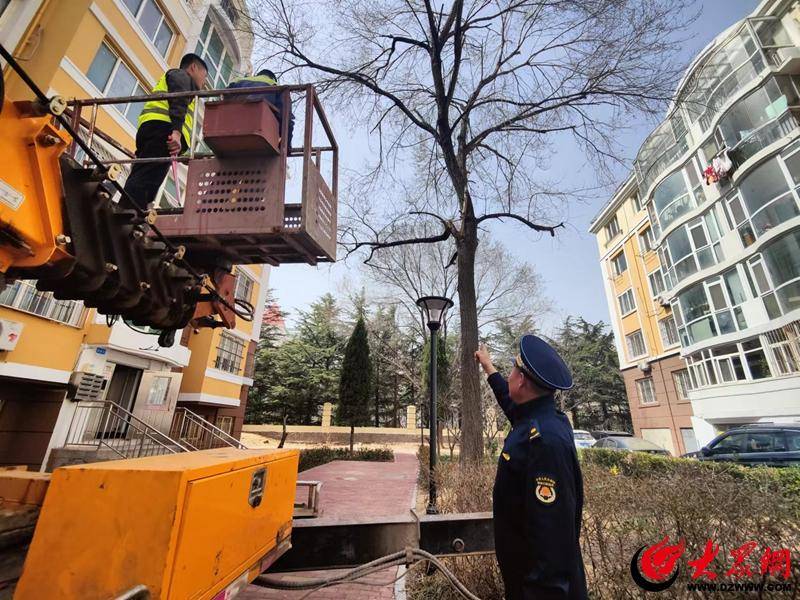 多米体育青岛市城市管理局启动“春季护绿”专项执法行动 发布城市绿化温馨提示(图3)